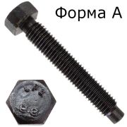 М12х80 Болт установочный с цапфой, форма А DIN 561 (25 шт)