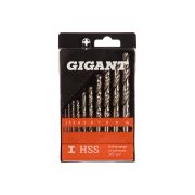 Набор сверл по металлу (1-10 мм; HSS; 10 шт.) Gigant G-11123