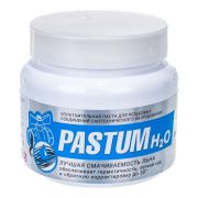 Паста для сантехнического оборудования Pastum H2O ВМПАВТО 8107 (400 г)