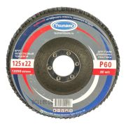 Круг лепестковый торцевой КЛТ1 125х22.23 14А/Р60 Tsunami D96100000012560