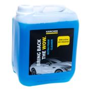 Эко-шампунь (5 л) RM 527 Karcher 6.295-603