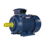 Электродвигатель 5АИ 160 S4  IM 1001 15/1500 (01.01.213688)