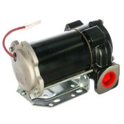Насос резьбовой для перекачки дизельного топлива PIUSI BP3000 24V/12-3/4 BSP