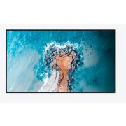 Профессиональный дисплей: 55'' Hisense 55DM66D 24/7